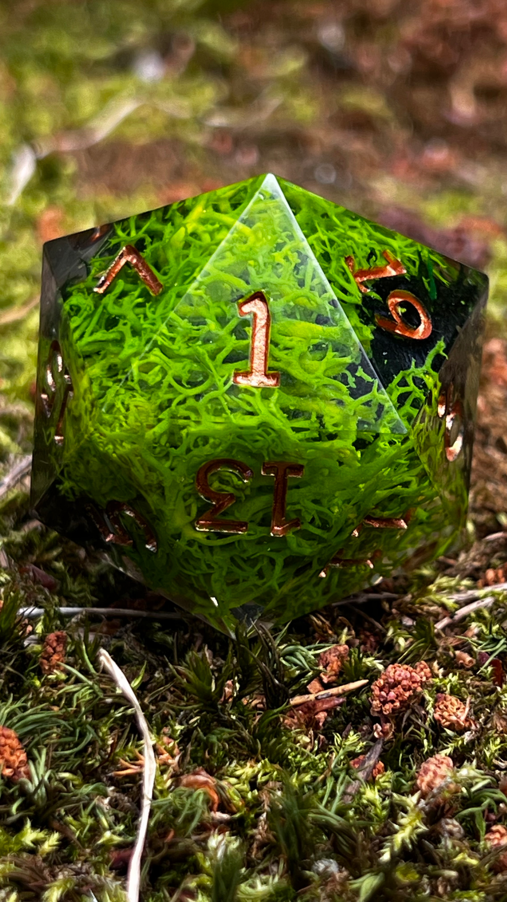Saltbone Hollow 55 mm Chonk d20