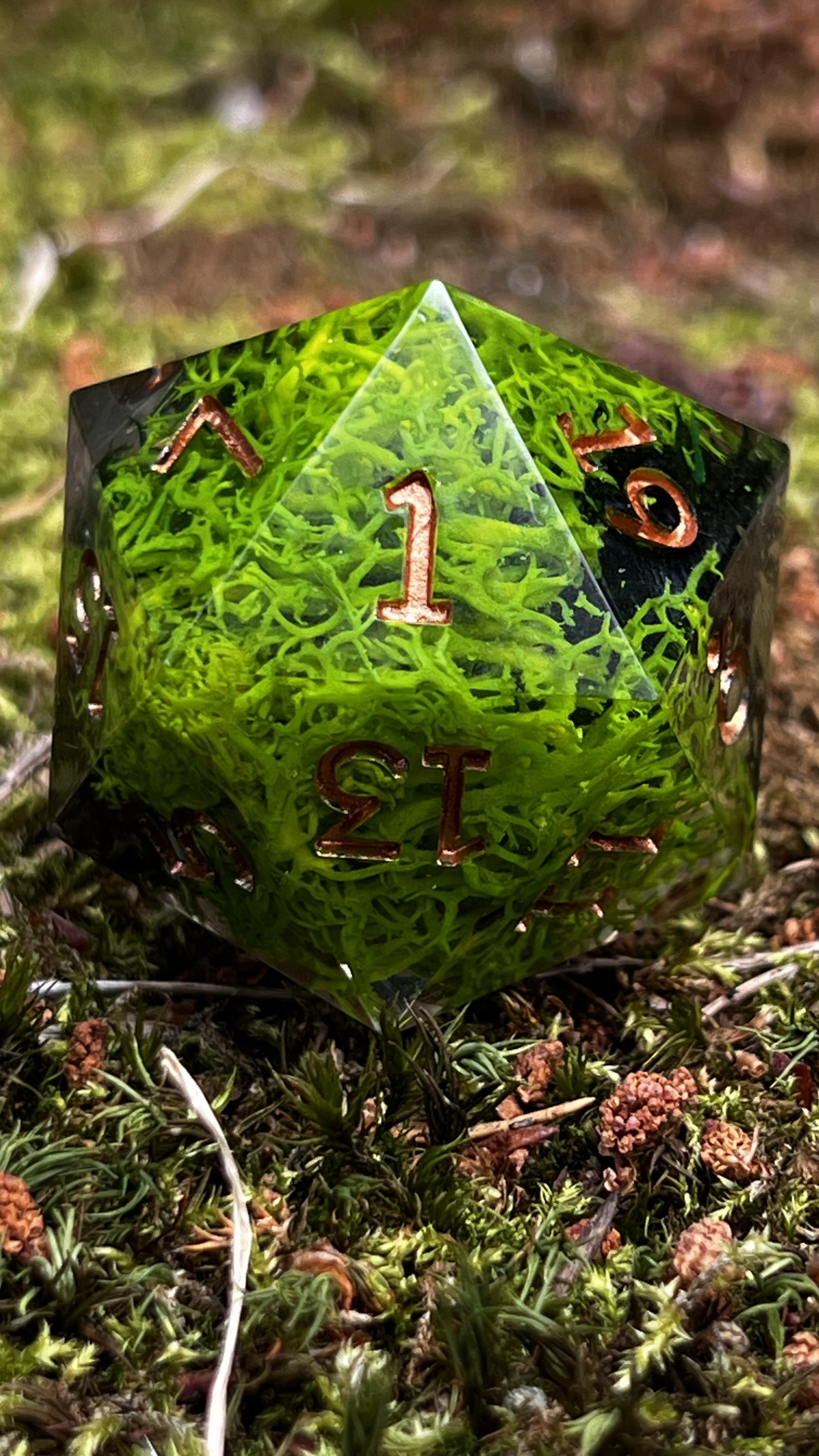 Saltbone Hollow 55 mm Chonk d20