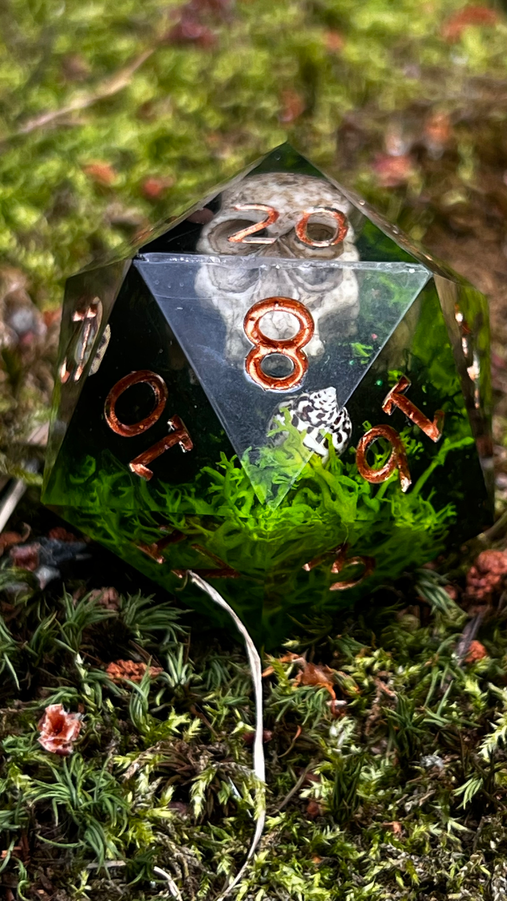 Saltbone Hollow 55 mm Chonk d20