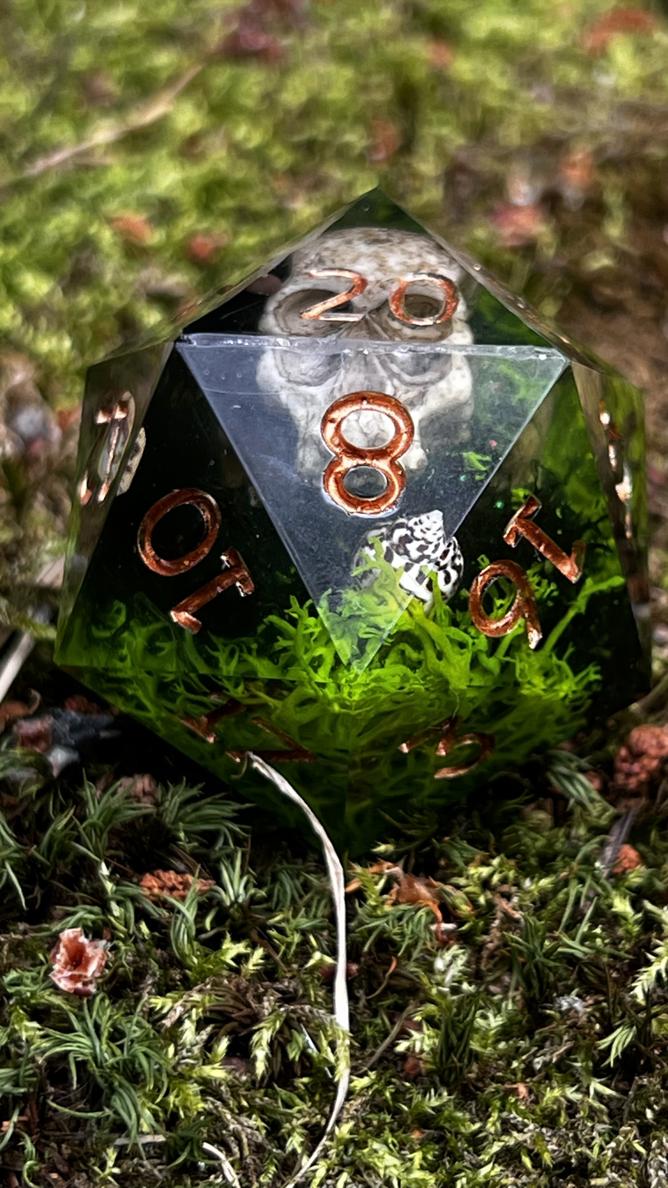 Saltbone Hollow 55 mm Chonk d20