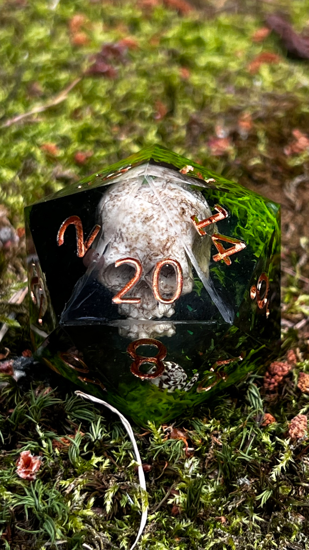 Saltbone Hollow 55 mm Chonk d20
