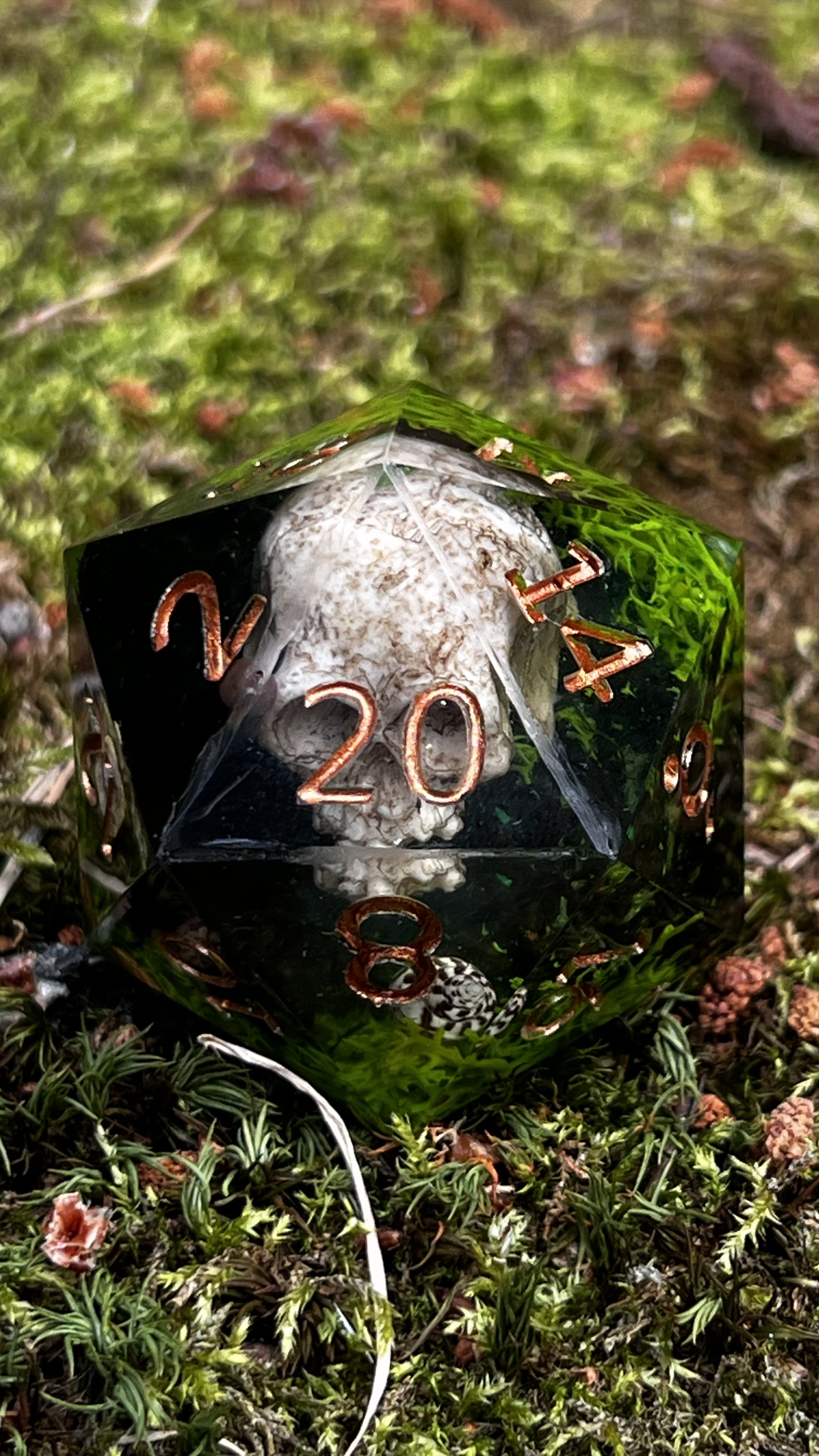 Saltbone Hollow 55 mm Chonk d20