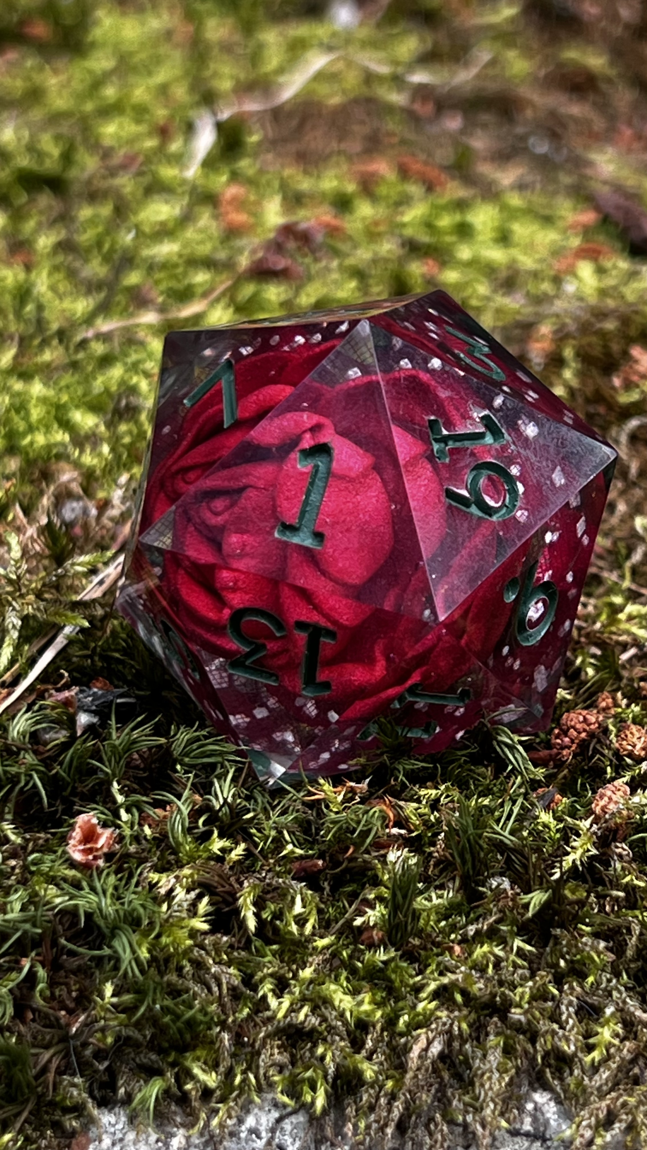 Scarlet 55 mm Chonk d20