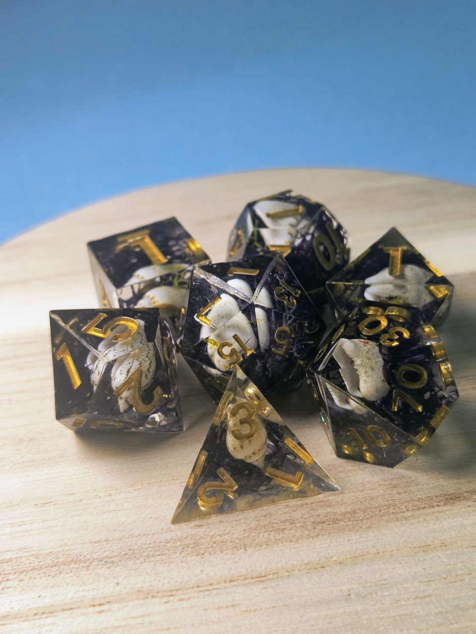 Abyssal Shell FRP Zar Seti