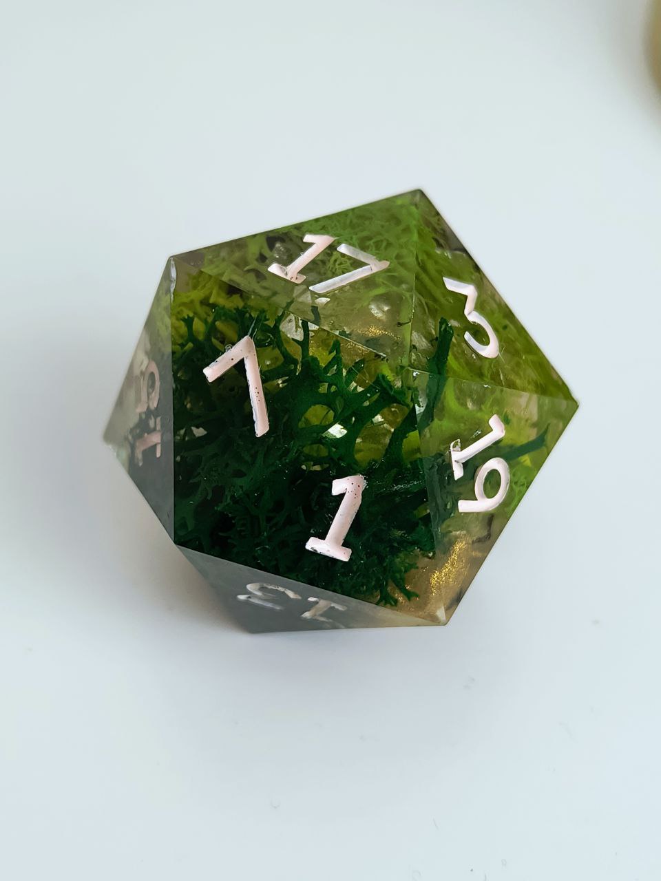 Mimic 55 mm Chonk d20
