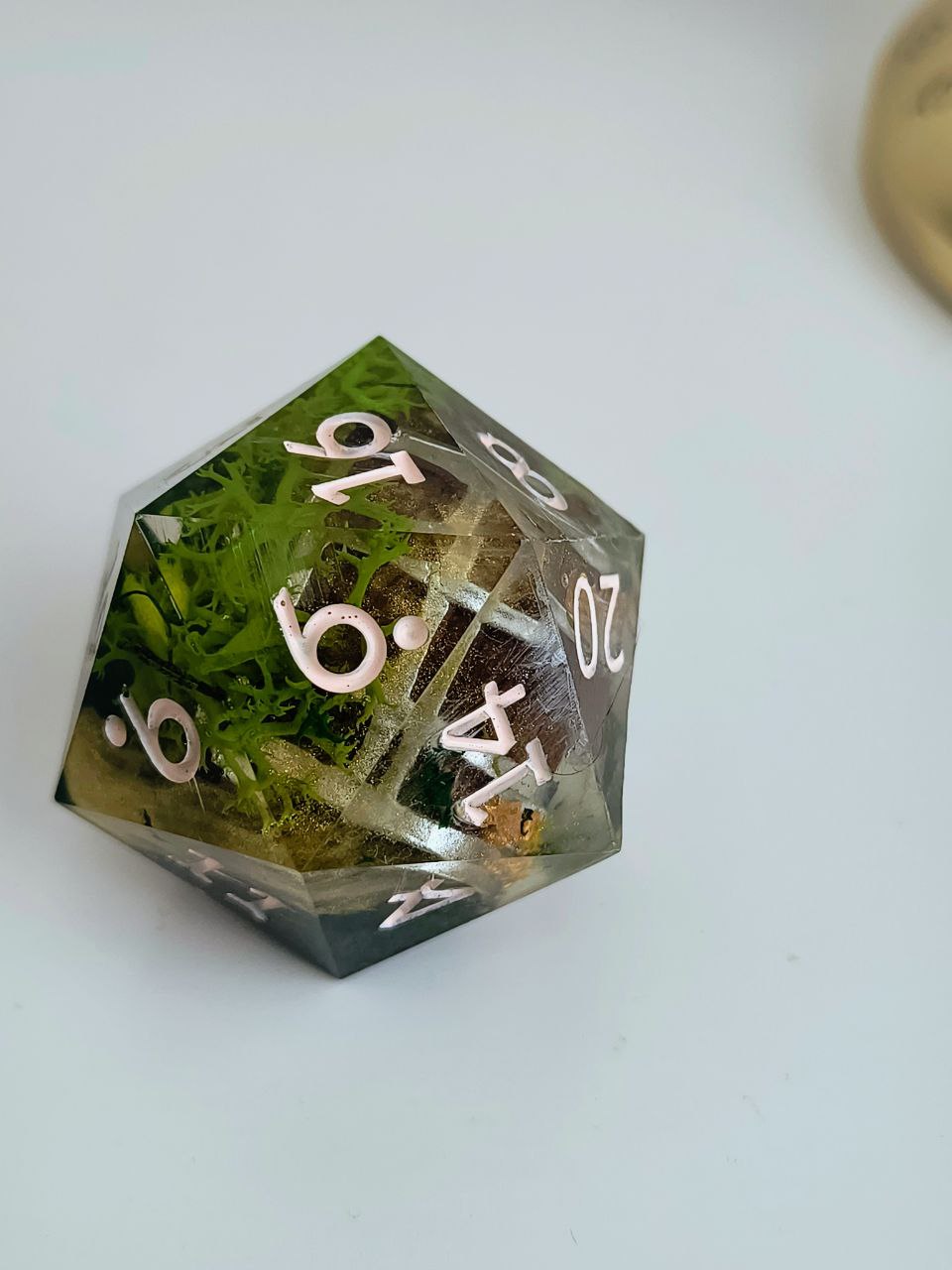 Mimic 55 mm Chonk d20