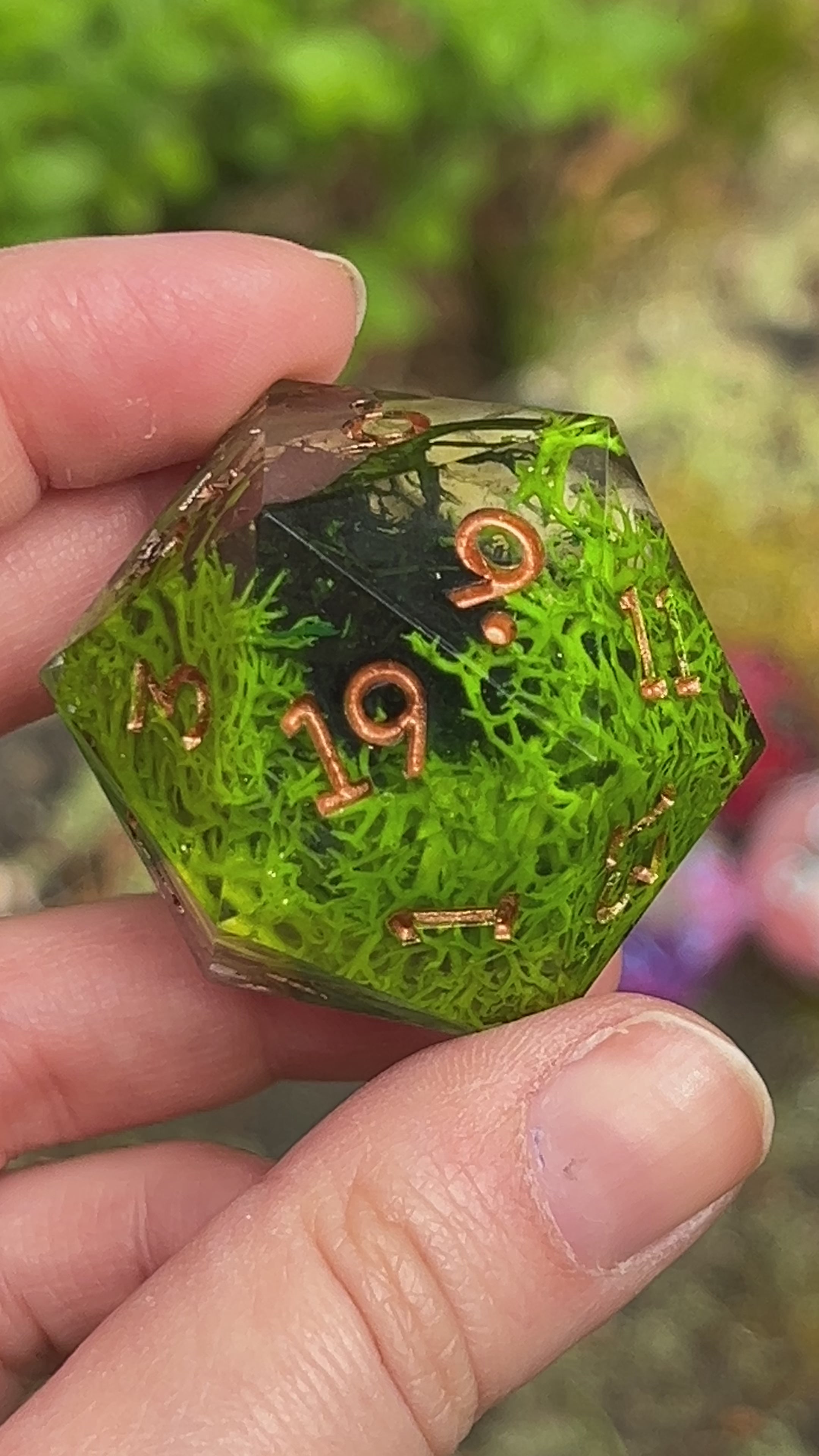 Saltbone Hollow 55 mm Chonk d20