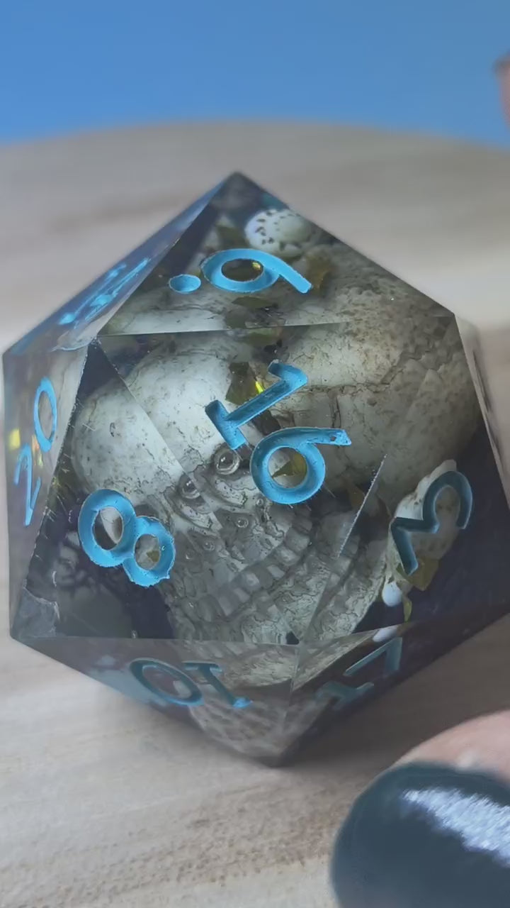 Dreadreef Eye 55 mm Chonk d20